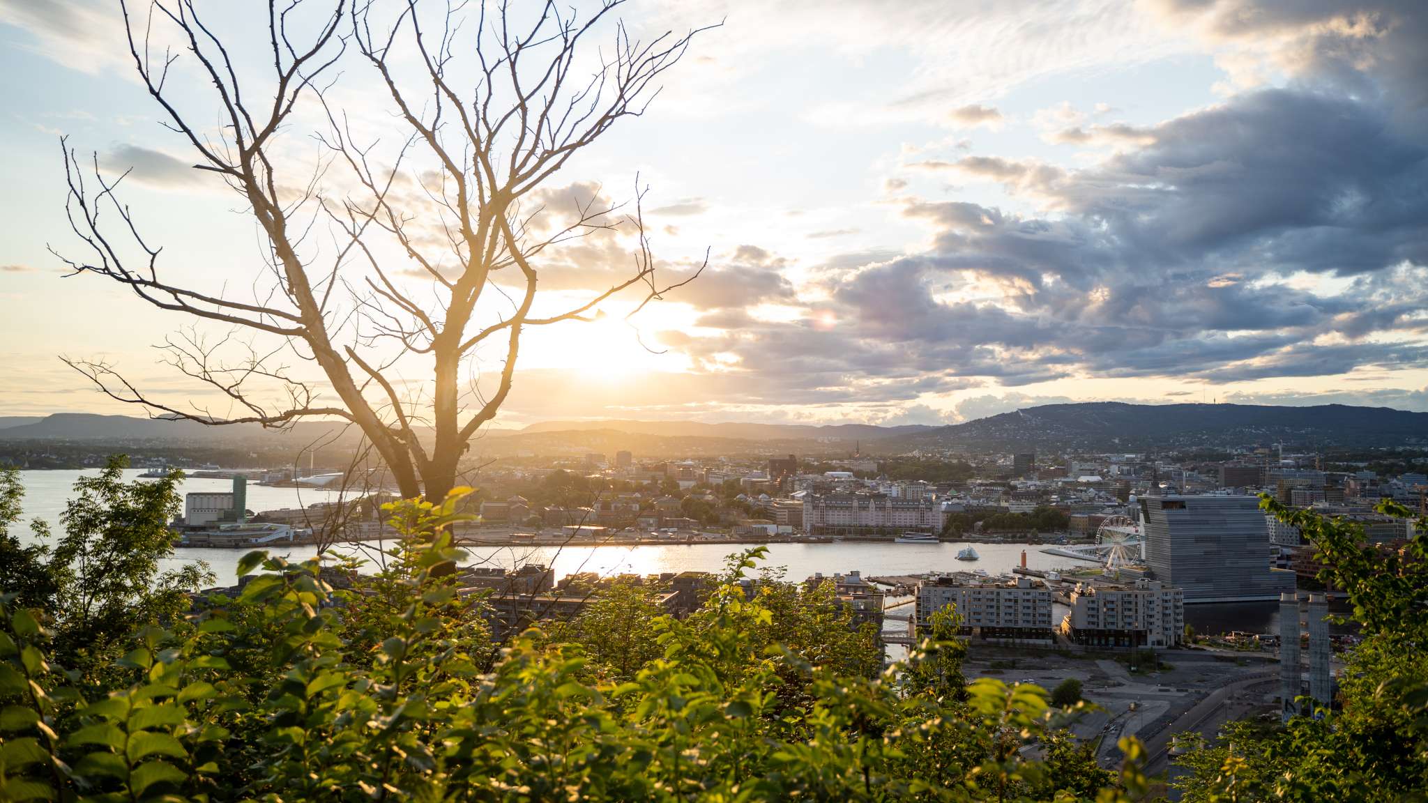 Utsikt over Oslo sett fra Ekeberg. Foto.