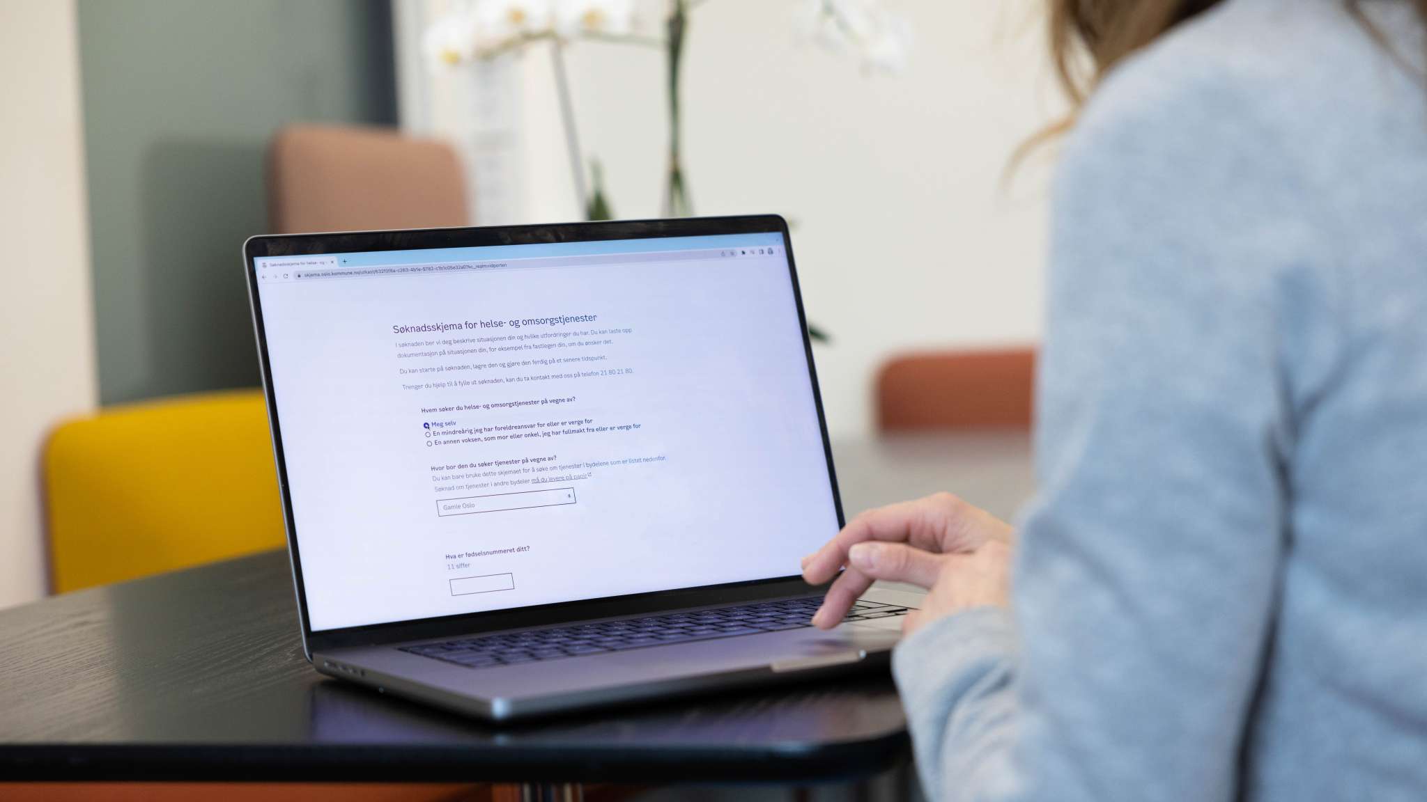 Person sitter foran skjerm som viser digital søknad, foto