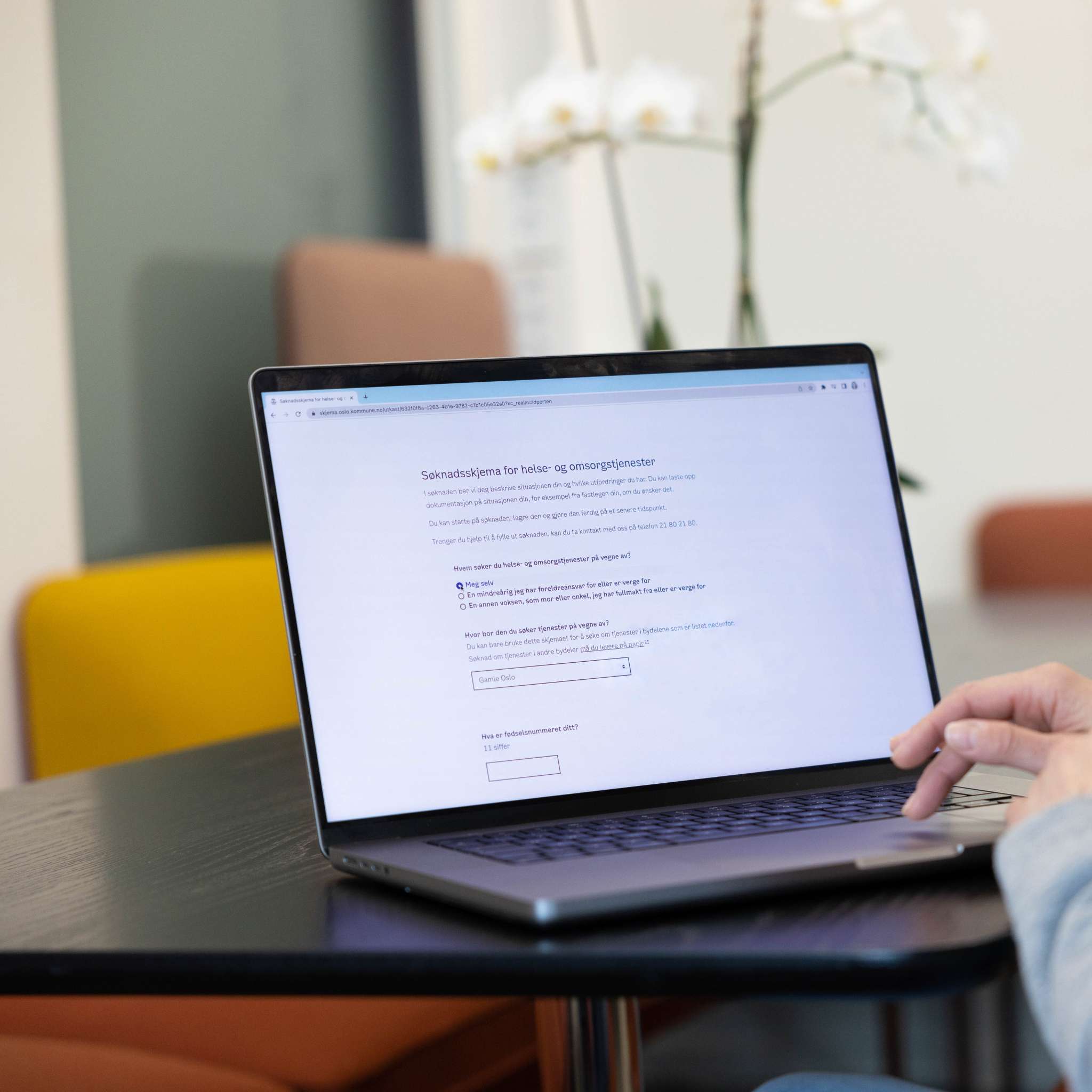 Person sitter foran skjerm som viser digital søknad, foto
