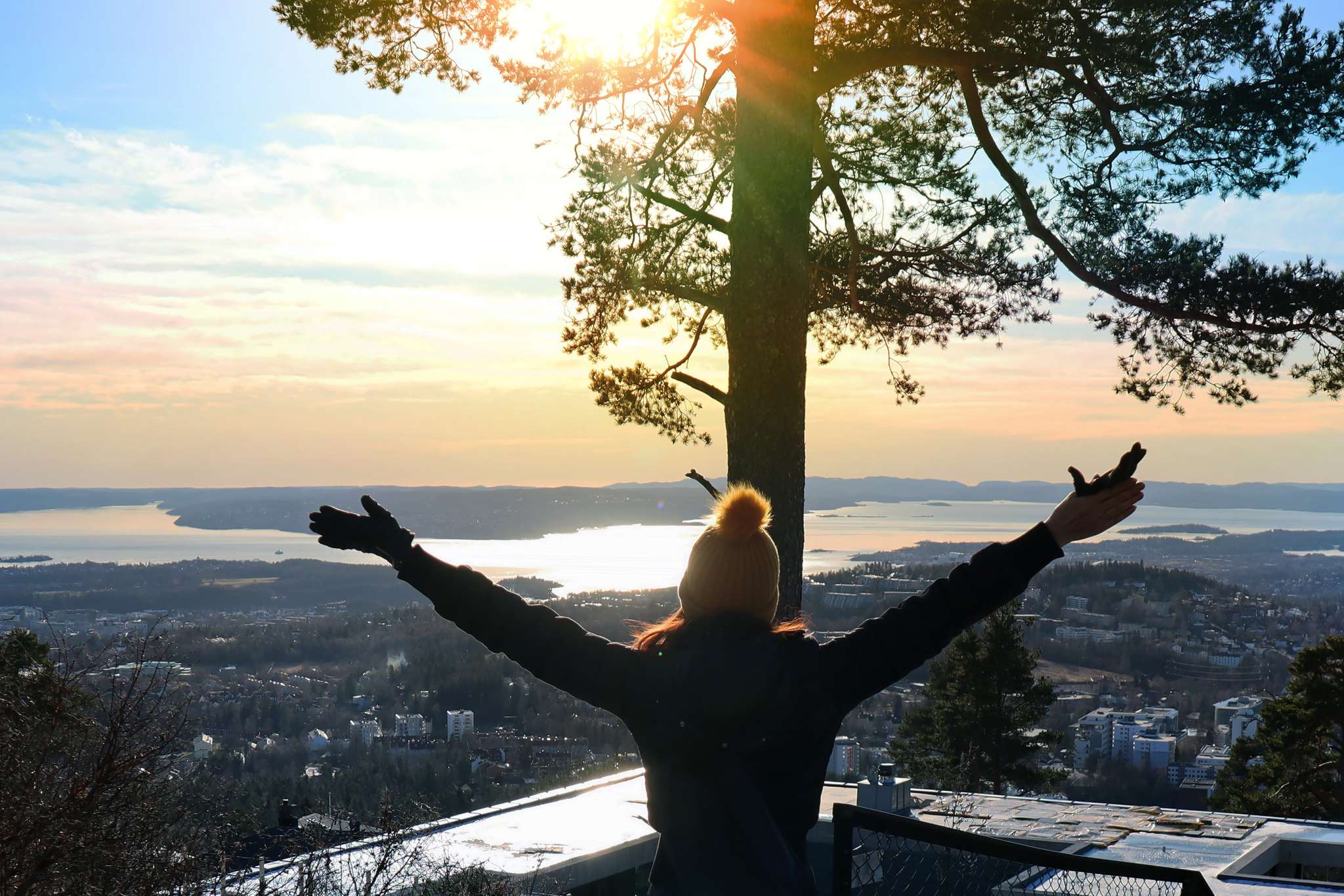 Høyt over Oslo (1)